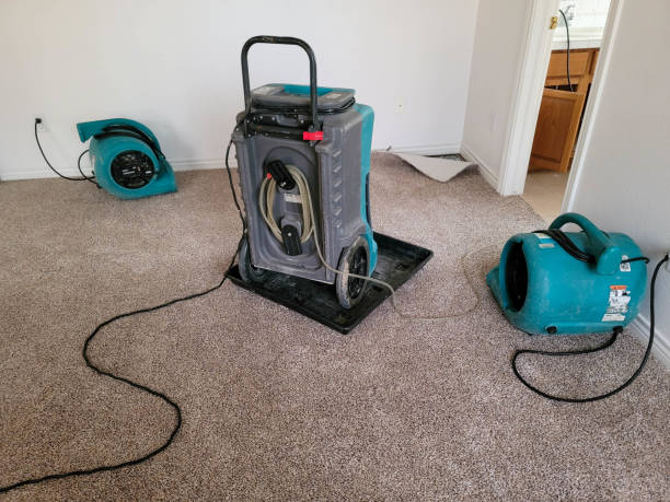 Best Water damage restoration process  in Poquoson, VA