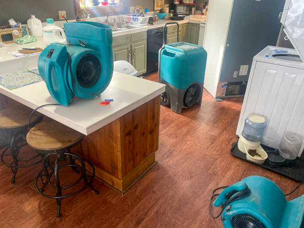Best Flood damage cleanup  in Poquoson, VA