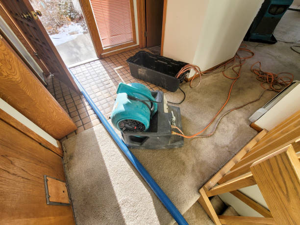 Best Water damage contractors near me  in Poquoson, VA