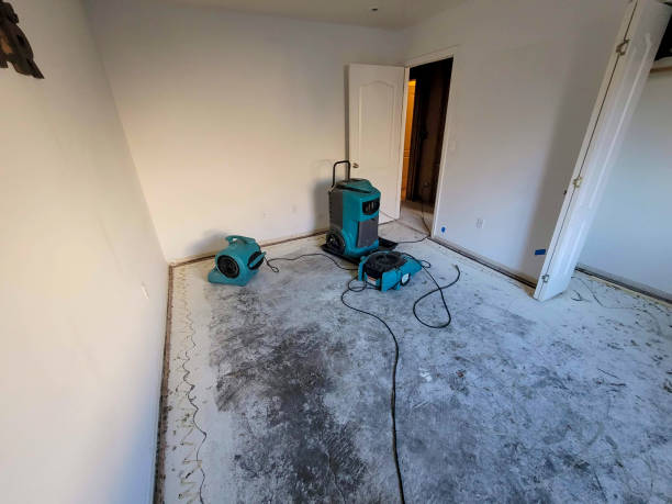 Best Commercial water damage restoration  in Poquoson, VA