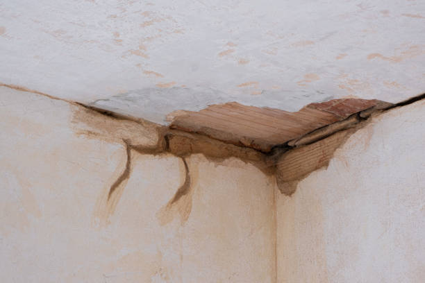 Best Ceiling water damage repair  in Poquoson, VA