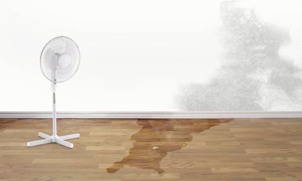 Best Basement water damage restoration  in Poquoson, VA