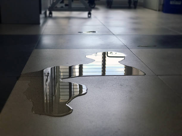 Best Water damage restoration company  in Poquoson, VA