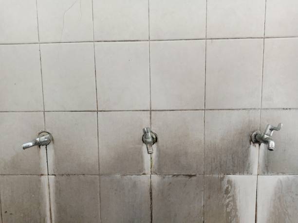 Best Mold removal after water damage  in Poquoson, VA