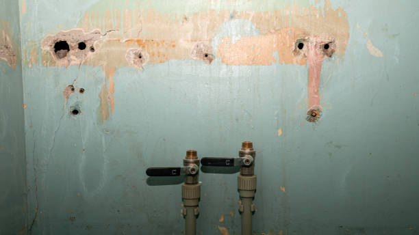 Best Emergency water damage restoration  in Poquoson, VA